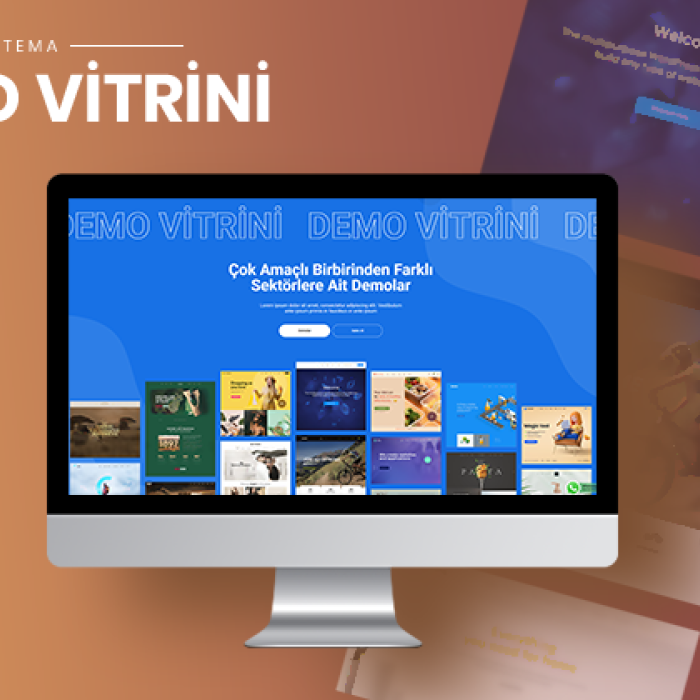 Demo Vitrini & Sergisi #3